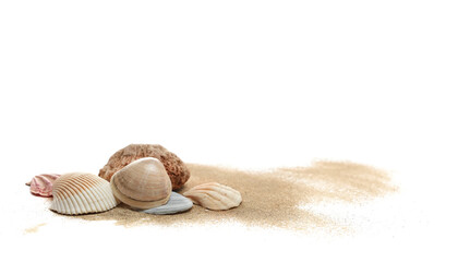Sea shell and stone in sand pile isolated on white, side view