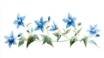 Watercolor botanical illustration of blue flowers with green leaves, showcasing delicate petals and natural beauty