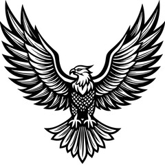 Obraz premium eagle with wings