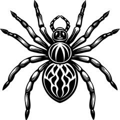 Obraz premium black and white spider
