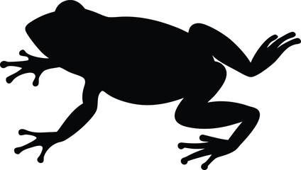 Frog silhouette vector illustration on white background