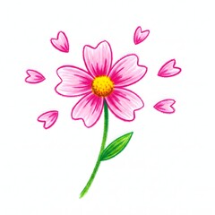 Obraz premium Vibrant pink cosmos flower with falling petals and green stem isolated on white background