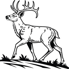 Fototapeta premium Majestic black and white deer silhouette with impressive antlers gazing into distance 