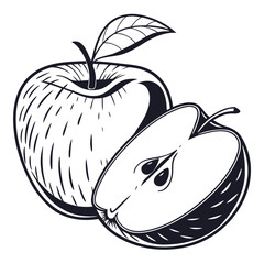 vector illustration of gala apple