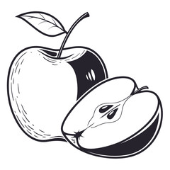 vector illustration of fuji apple