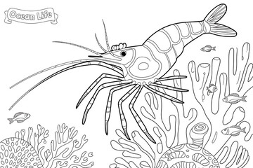Shrimp in coral reef environment, detailed line drawing.
