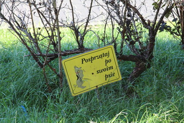 Yellow warning sign attached to tree branch in natural forest environment with green foliage