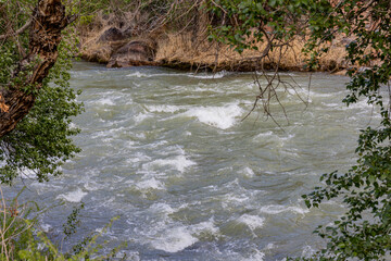 Fast flowing Charyn River in Kazakhstan canyon landscape