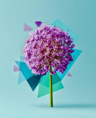 Vibrant Purple Flower with Geometric Accents on Teal Background
