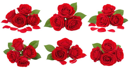 Beautiful Arrangement of Red Roses with Petals for Romantic Occasions and Floral Decorations, isolated on a transparent background