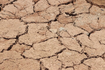A dry and cracked soil