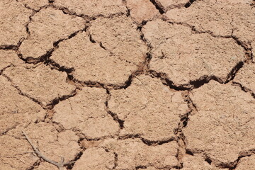 A dry and cracked soil