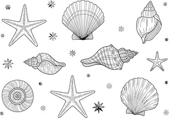 Retro Ocean Shell and Seastar Illustrations