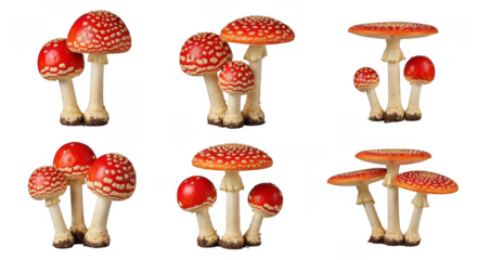 Vibrant Red Fly Agaric Mushrooms for Nature and Culinary Themes, isolated on a transparent background