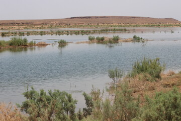 Barrage El Mansour Eddahbi, Ouarzazate Lake in Morocco