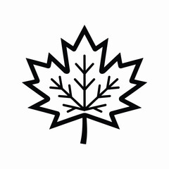 Simple black outline of a maple leaf with veins on a white background
