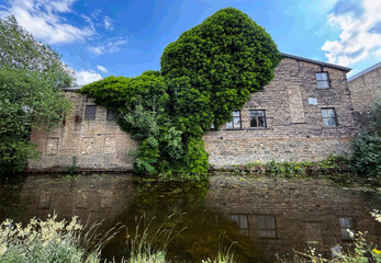 “A Victorian stone building, partially cloaked in lush green ivy, is reflected in the still waters of the Leeds and Liverpool Canal. The scene is framed by a bright blue sky in, Shipley, UK,"