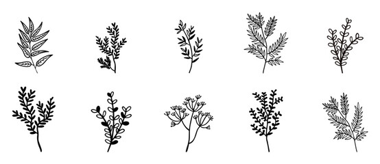 A collection of simple hand drawn botanical illustrations featuring various flowers and leafy branches Vector illustration