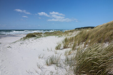 Dünen und Strandhafer am Strand von Vitte, Ostsee Insel Hiddensee, Mecklenburg-Vorpommern