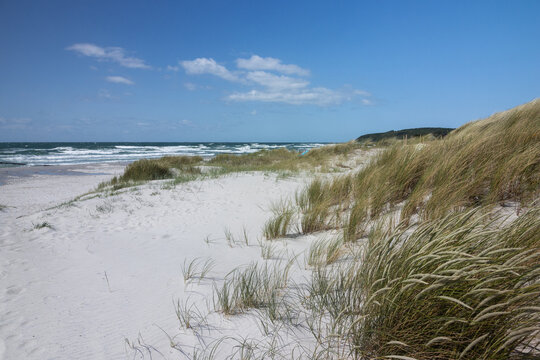 D&uuml;nen und Strandhafer am Strand von Vitte, Ostsee Insel Hiddensee, Mecklenburg-Vorpommern