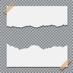 Realistic torn paper edge with rough texture, blank ripped sheet isolated on transparent background for scrapbooking, design overlays, or photo collages