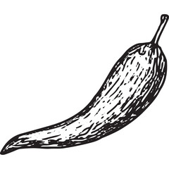 Hand-drawn chili pepper sketch, ideal for spicy food art, pizza toppings, and culinary designs