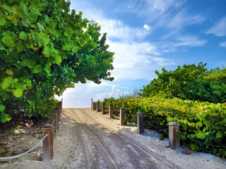 Paso a Miami Beach