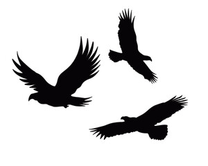 design features a stylized eagle silhouette, perfect for personal or commercial branding, with a clean and simple illustration
