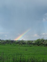 rainbow over the field