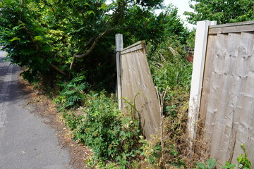 A broken wooden fence panel next to an overgrown pathway in Nottinghamshire, England, with...