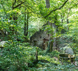 Close and selective focus on the ruined remains of a stone mill in Lumsdale Valley