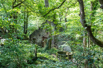 Close and selective focus on the ruined remains of a stone mill in Lumsdale Valley