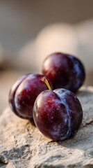 Obraz premium Three ripe plums with deep purple skin resting on natural stone in warm sunlight ideal for rustic food visuals, autumn harvest content and organic fruit branding designs