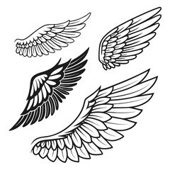 Set of wings icons. Wings icons. Bird wings, angel wings elements. Wing collection in different shape. Wings badges. Vector illustration	