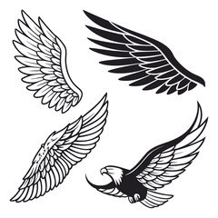 Set of wings icons. Wings icons. Bird wings, angel wings elements. Wing collection in different shape. Wings badges. Vector illustration	