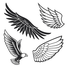 Set of wings icons. Wings icons. Bird wings, angel wings elements. Wing collection in different shape. Wings badges. Vector illustration	