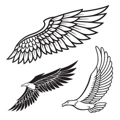 Set of wings icons. Wings icons. Bird wings, angel wings elements. Wing collection in different shape. Wings badges. Vector illustration	