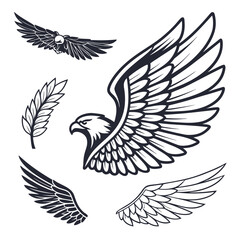 Set of wings icons. Wings icons. Bird wings, angel wings elements. Wing collection in different shape. Wings badges. Vector illustration	