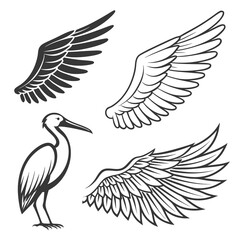 Set of wings icons. Wings icons. Bird wings, angel wings elements. Wing collection in different shape. Wings badges. Vector illustration	