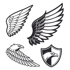 Set of wings icons. Wings icons. Bird wings, angel wings elements. Wing collection in different shape. Wings badges. Vector illustration	