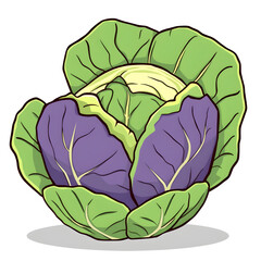 A cartoon drawing of a purple and green cabbage