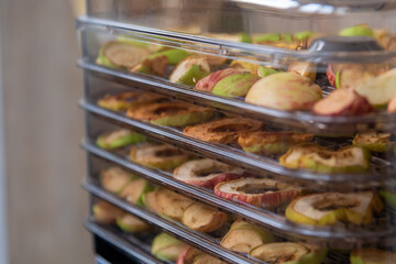 Sliced apples drying in a fruit dryer with multiple layers of fruit