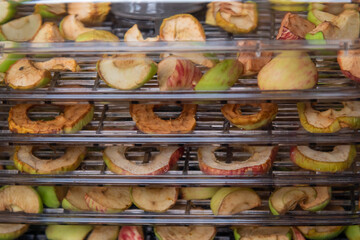 Slices of apple drying in a fruit dehydrator on a kitchen countertop