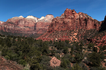 Fototapeta premium One of the picturesque mountains of Zion Park. The photo was taken during the day in clear weather