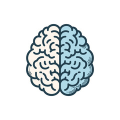 Detailed illustration of a human brain split into two halves, showcasing different colors and textures, symbolizing creativity and logic, with a simple background emphasizing the brain's features