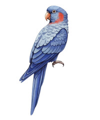 Adobe Illustrator Artwork