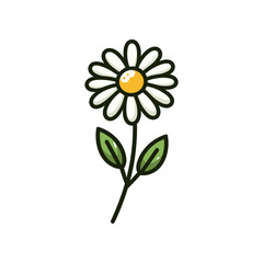 A vibrant daisy flower with green leaves, set against a clean white background, ideal for nature themes