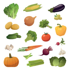 Set of 20 pieces of different vegetables on a white background - Vector illustration