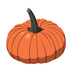 Realistic big orange pumpkin on white background - Vector illustration
