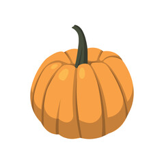 Realistic big orange pumpkin on white background - Vector illustration
